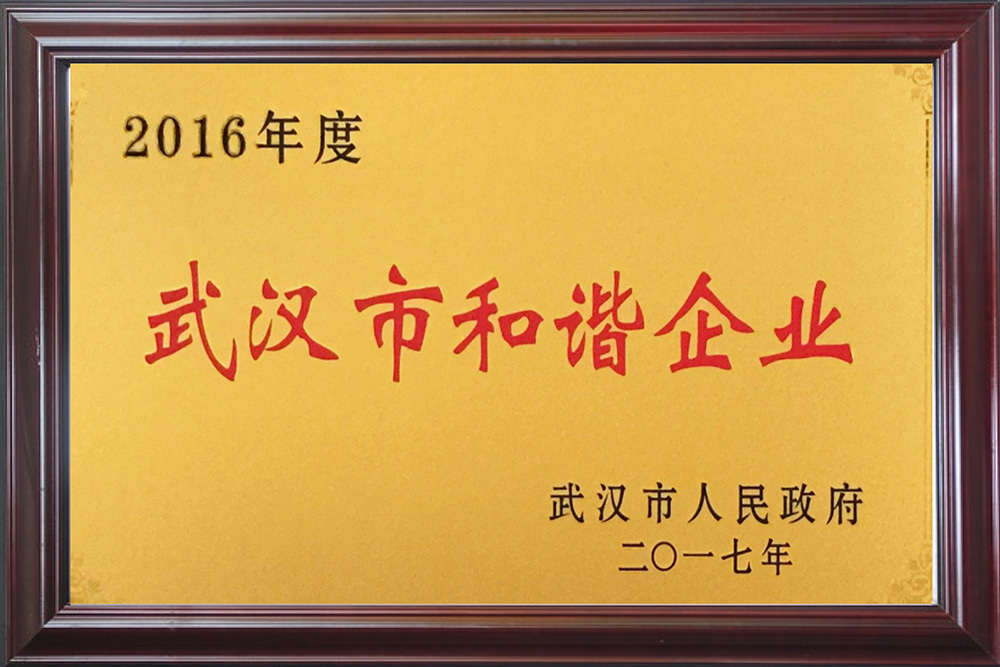 2016年度 武汉市和谐企业