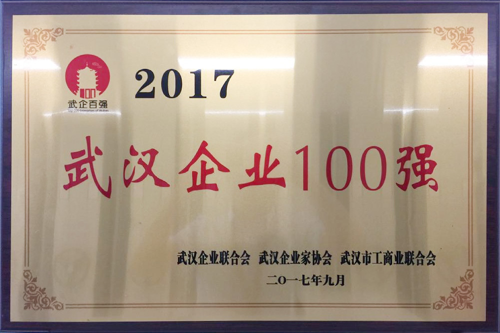 2017年度武汉企业100强